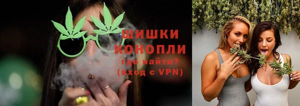 эйфоретик Няндома