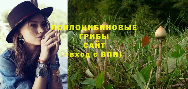 PSILOCYBIN Нягань