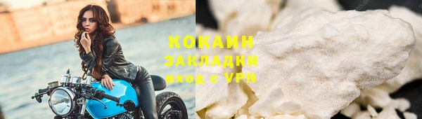 эйфоретик Няндома