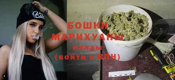 эйфоретик Няндома