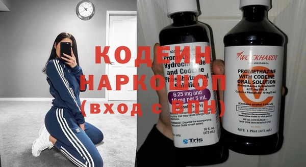 эйфоретик Няндома