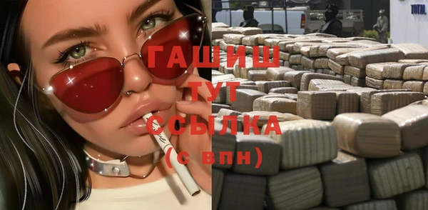 эйфоретик Няндома