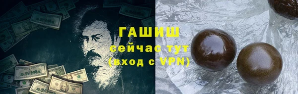 эйфоретик Няндома