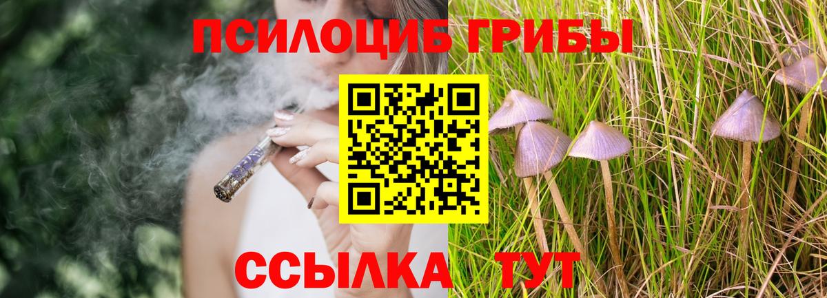 Краснокамск  Галлюциногенные грибы мицелий  Псилоцибиновые грибы прущие грибы  Вход с VPN 