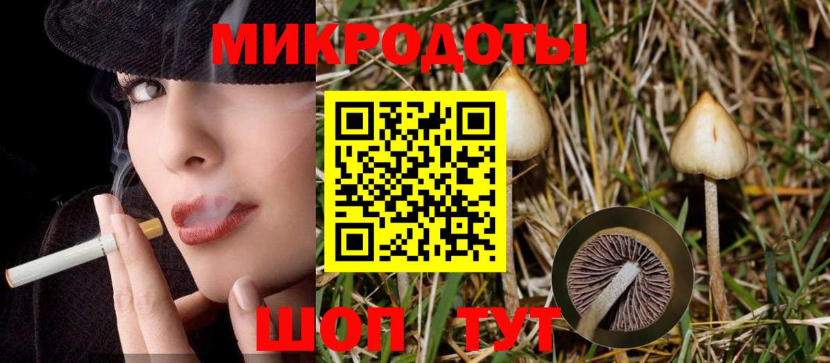 Галлюциногенные грибы GOLDEN TEACHER  Краснокамск  Псилоцибиновые грибы Psilocybe 